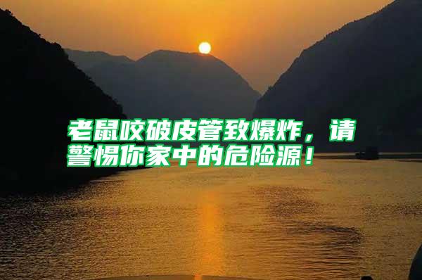 老鼠咬破皮管致爆炸，請警惕你家中的危險源！