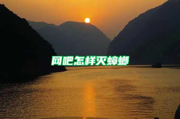 網吧怎樣滅蟑螂