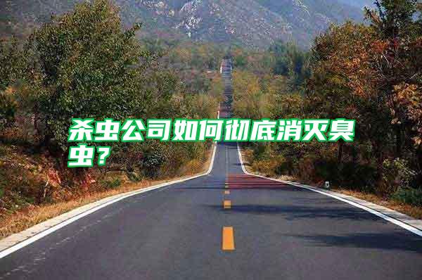 殺蟲公司如何徹底消滅臭蟲?