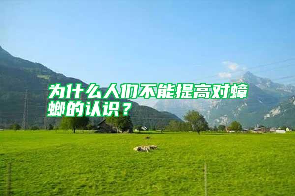 為什么人們不能提高對蟑螂的認(rèn)識?