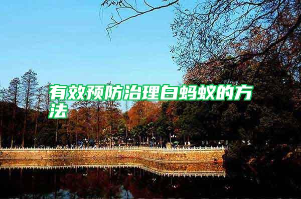 有效預防治理白螞蟻的方法