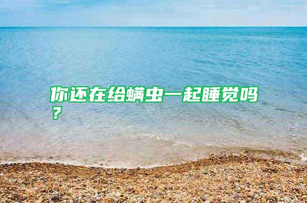 你還在給螨蟲一起睡覺嗎?