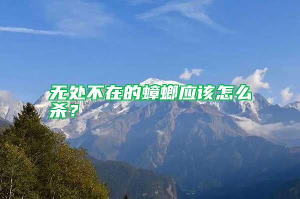 無處不在的蟑螂應該怎么殺?