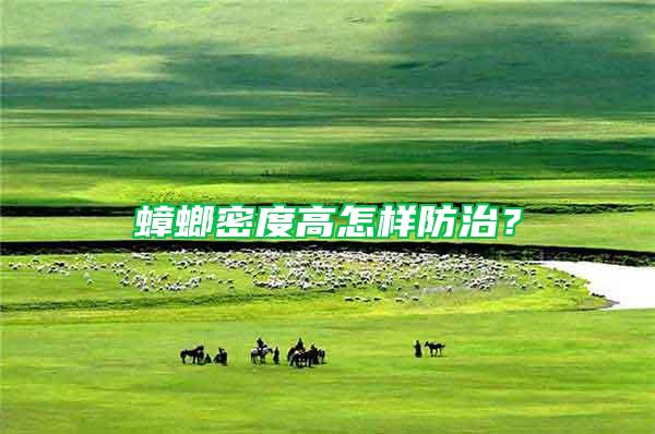 蟑螂密度高怎樣防治?