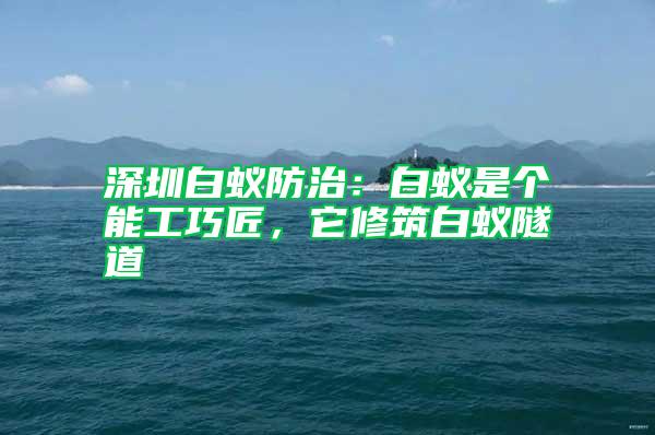 深圳白蟻防治：白蟻是個能工巧匠，它修筑白蟻隧道