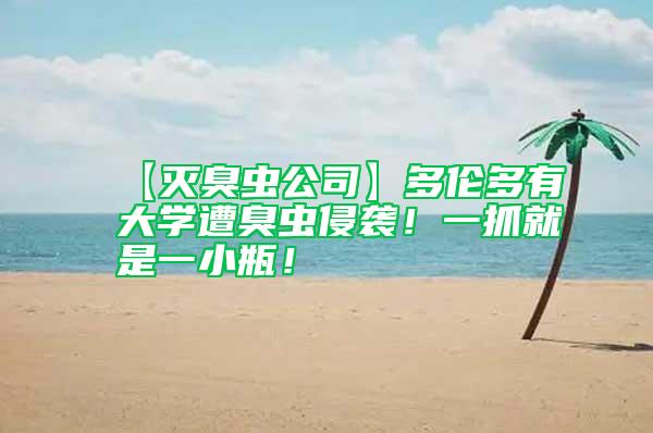 【滅臭蟲公司】多倫多有大學遭臭蟲侵襲!一抓就是一小瓶!