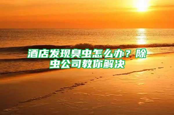 酒店發現臭蟲怎么辦?除蟲公司教你解決