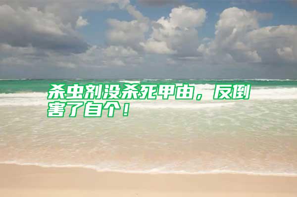 殺蟲劑沒殺死甲由，反倒害了自個！