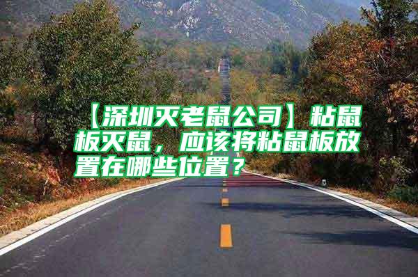 【深圳滅老鼠公司】粘鼠板滅鼠,應(yīng)該將粘鼠板放置在哪些位置?