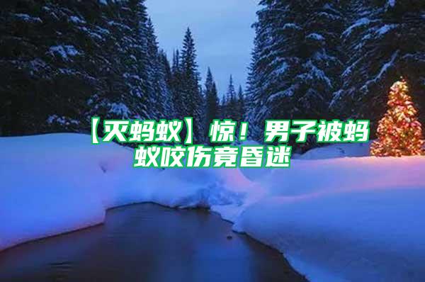 【滅螞蟻】驚！男子被螞蟻咬傷竟昏迷