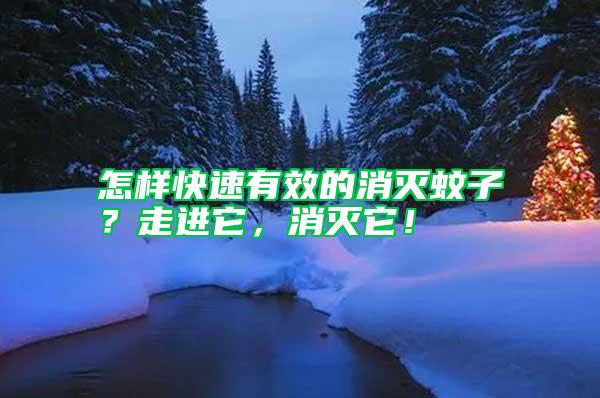 怎樣快速有效的消滅蚊子？走進它，消滅它！