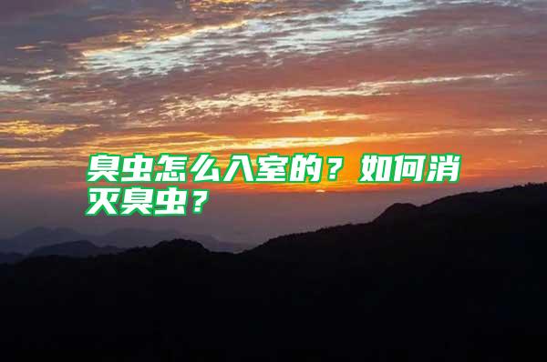 臭蟲怎么入室的?如何消滅臭蟲?