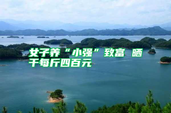 女子養“小強”致富 曬干每斤四百元