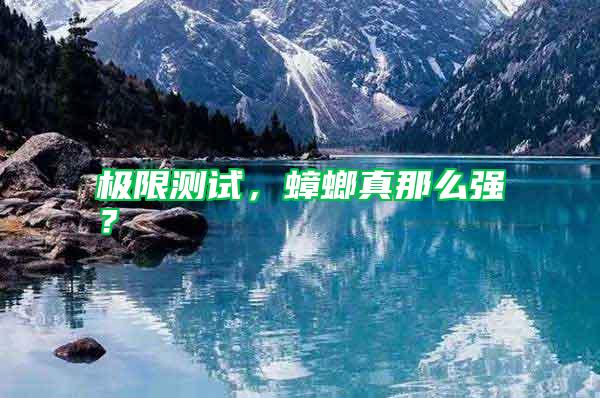 極限測試,蟑螂真那么強?