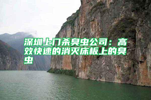深圳上門殺臭蟲公司:高效快速的消滅床板上的臭蟲