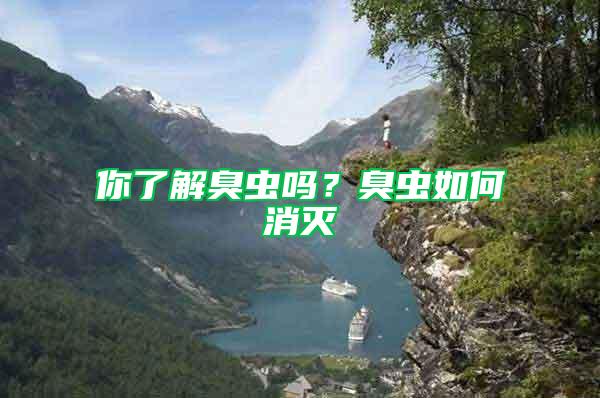 你了解臭蟲嗎？臭蟲如何消滅