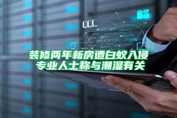 裝修兩年新房遭白蟻入侵 專業人士稱與潮濕有關