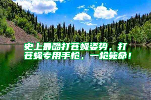 史上最酷打蒼蠅姿勢，打蒼蠅專用手槍，一槍斃命！