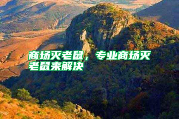 商場滅老鼠,專業商場滅老鼠來解決