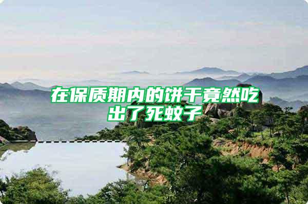 在保質(zhì)期內(nèi)的餅干竟然吃出了死蚊子