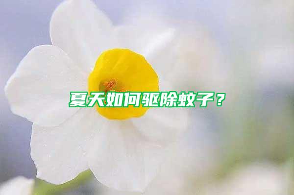 夏天如何驅除蚊子?