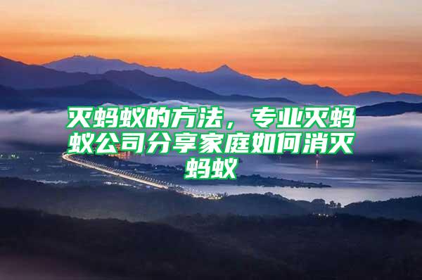 滅螞蟻的方法,專業滅螞蟻公司分享家庭如何消滅螞蟻
