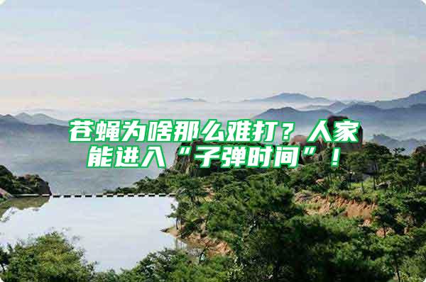 蒼蠅為啥那么難打?人家能進入“子彈時間”!