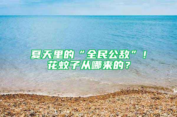 夏天里的“全民公敵”！花蚊子從哪來的？