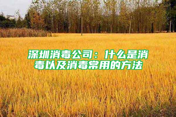 深圳消毒公司:什么是消毒以及消毒常用的方法
