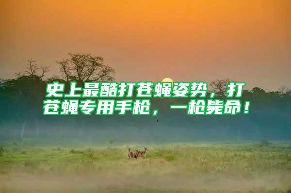 史上最酷打蒼蠅姿勢(shì)，打蒼蠅專用手槍，一槍斃命！