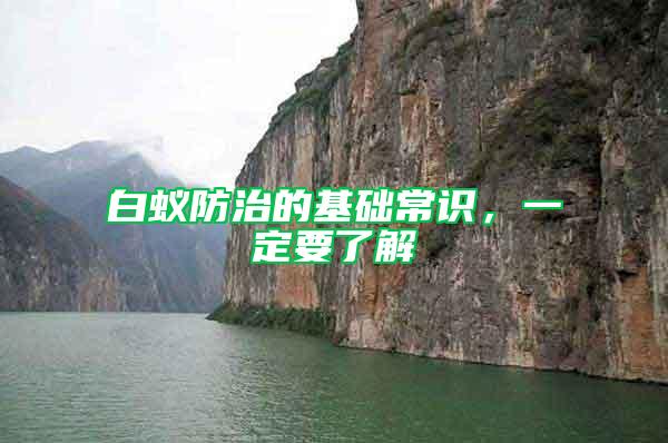 白蟻防治的基礎常識，一定要了解