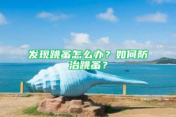 發(fā)現(xiàn)跳蚤怎么辦?如何防治跳蚤?