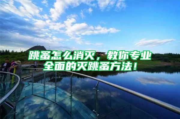 跳蚤怎么消滅,教你專業全面的滅跳蚤方法!