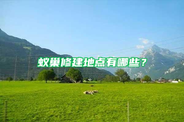 蟻巢修建地點有哪些?