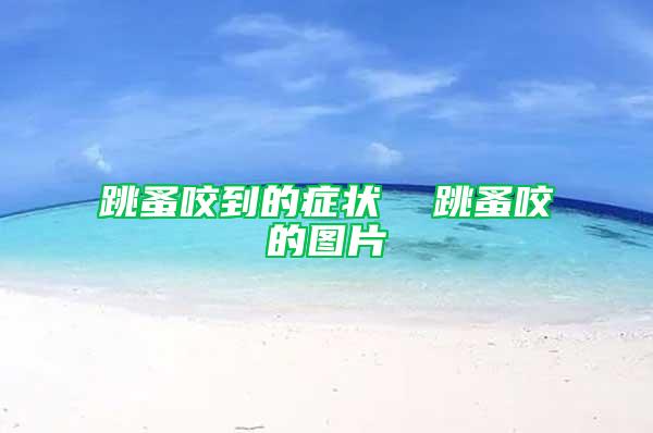 跳蚤咬到的癥狀  跳蚤咬的圖片