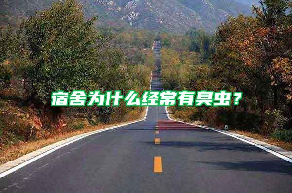 宿舍為什么經(jīng)常有臭蟲?