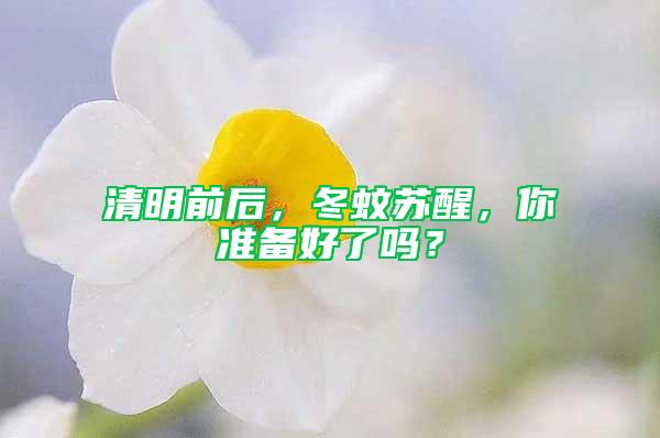 清明前后,冬蚊蘇醒,你準(zhǔn)備好了嗎?