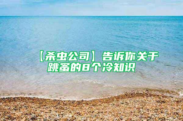 【殺蟲公司】告訴你關于跳蚤的8個冷知識