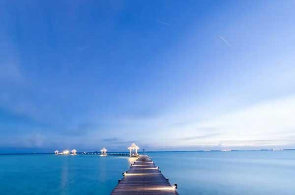 深圳殺蟲公司對殺蟲劑的要求