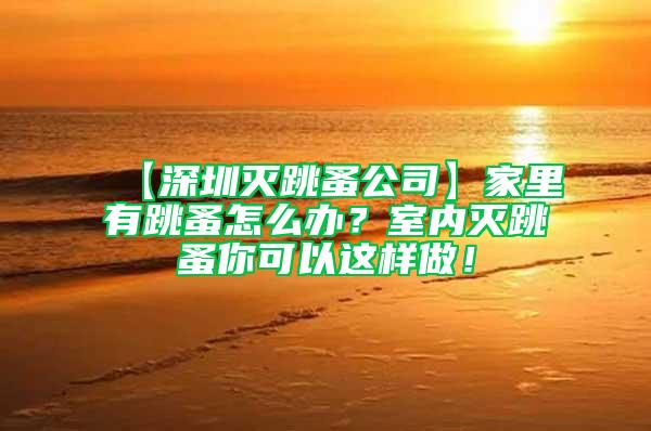 【深圳滅跳蚤公司】家里有跳蚤怎么辦?室內滅跳蚤你可以這樣做!