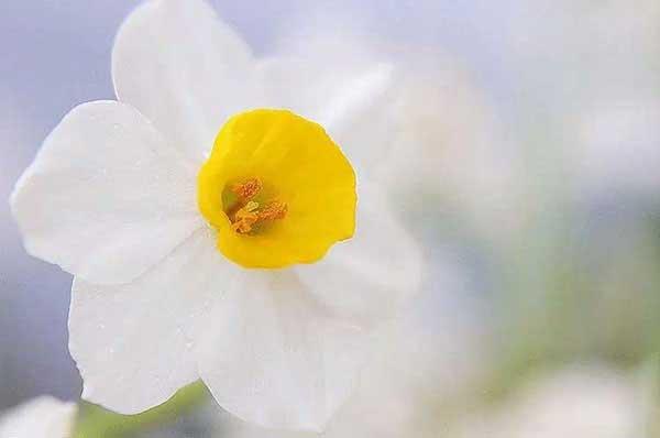 幼兒園防蟲要怎么做？消殺公司來教你