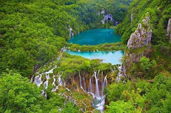 殺蟲(chóng)公司與人民生產(chǎn)生活息息相關(guān)