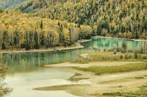 如何正確消滅進(jìn)入家里的螞蟻？專(zhuān)業(yè)滅螞蟻公司告訴你