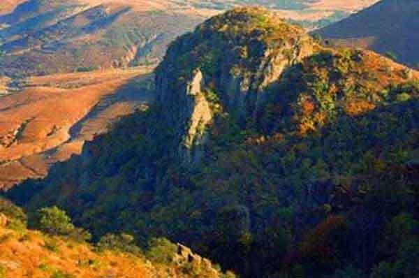 滅蟑螂公司教你如何有效的清除臭蟲