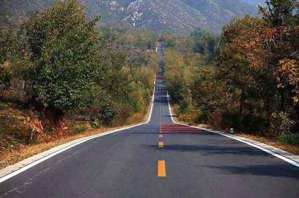 家里有臭蟲(chóng)怎么辦?殺蟲(chóng)公司告訴大家怎么消滅它們