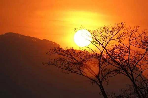 家庭蟲害進入的渠道