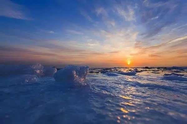 蜱蟲咬后癥狀似“感冒”,請(qǐng)引起十二萬分警惕!