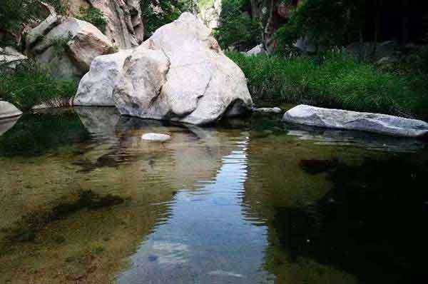 春季愛(ài)國(guó)衛(wèi)生運(yùn)動(dòng),你“除四害”了嗎?