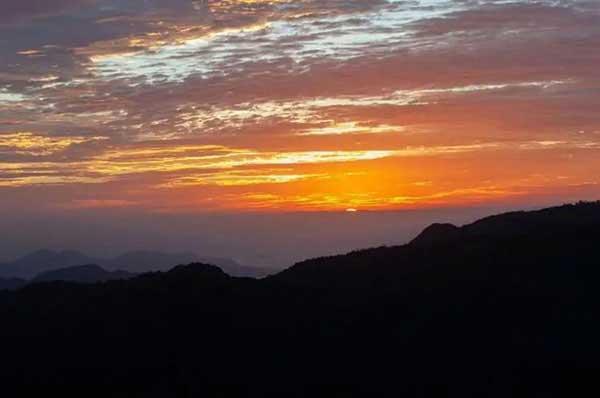 深圳哪里有殺白蟻,家庭裝修和白蟻防治的關系