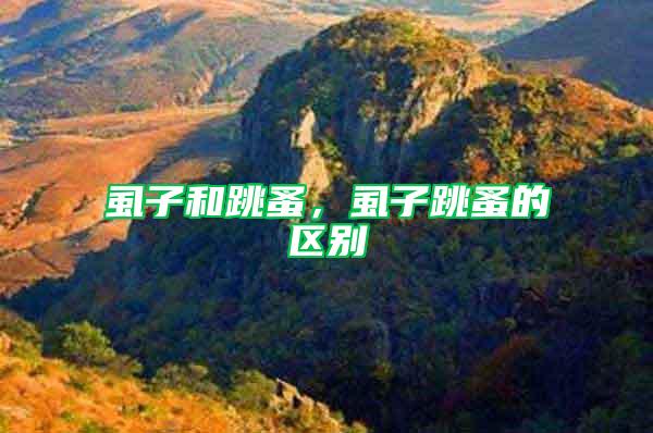 虱子和跳蚤，虱子跳蚤的區(qū)別